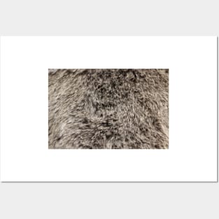 Faux Fur Texture Posters and Art